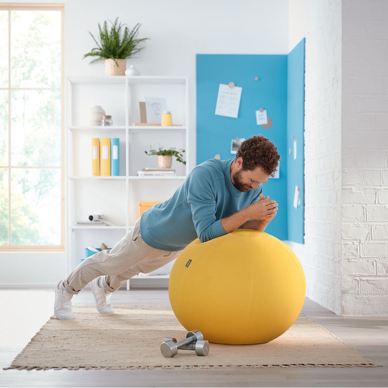 Leitz Active Sitting Ball, Ergonomic Design, 65cm Dia, Includes 100% Cotton Cover, Inner Ball, Hand Air Pump & 2 x Plugs, Ergo Cosy Range, Warm Yellow