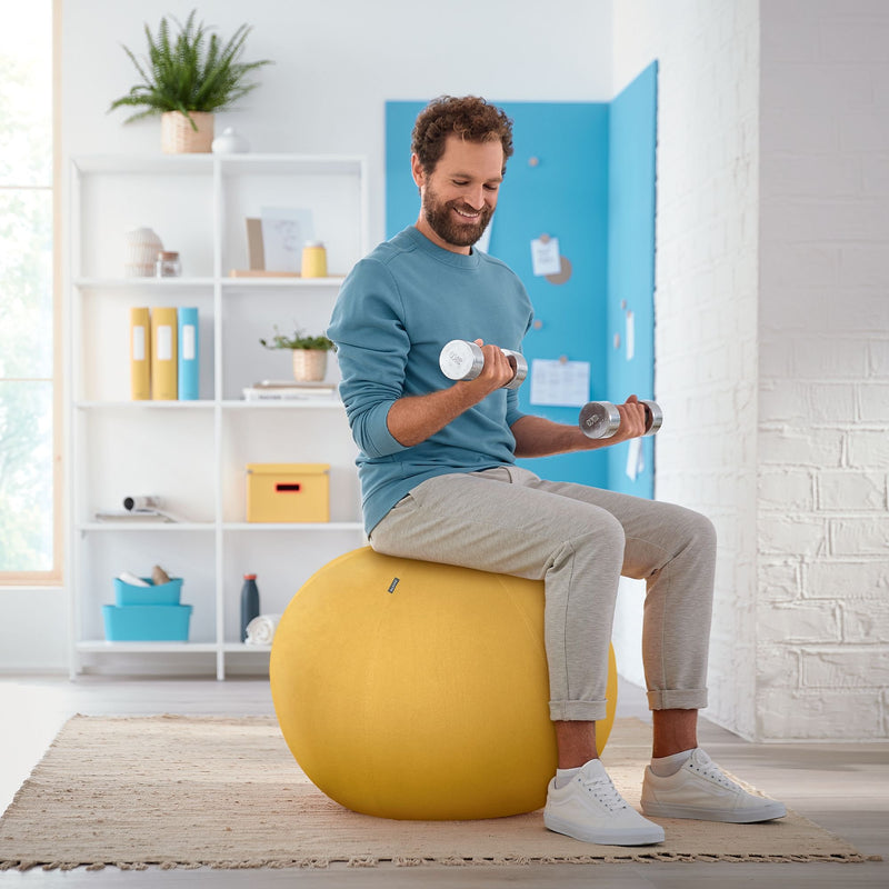 Leitz Active Sitting Ball, Ergonomic Design, 65cm Dia, Includes 100% Cotton Cover, Inner Ball, Hand Air Pump & 2 x Plugs, Ergo Cosy Range, Warm Yellow