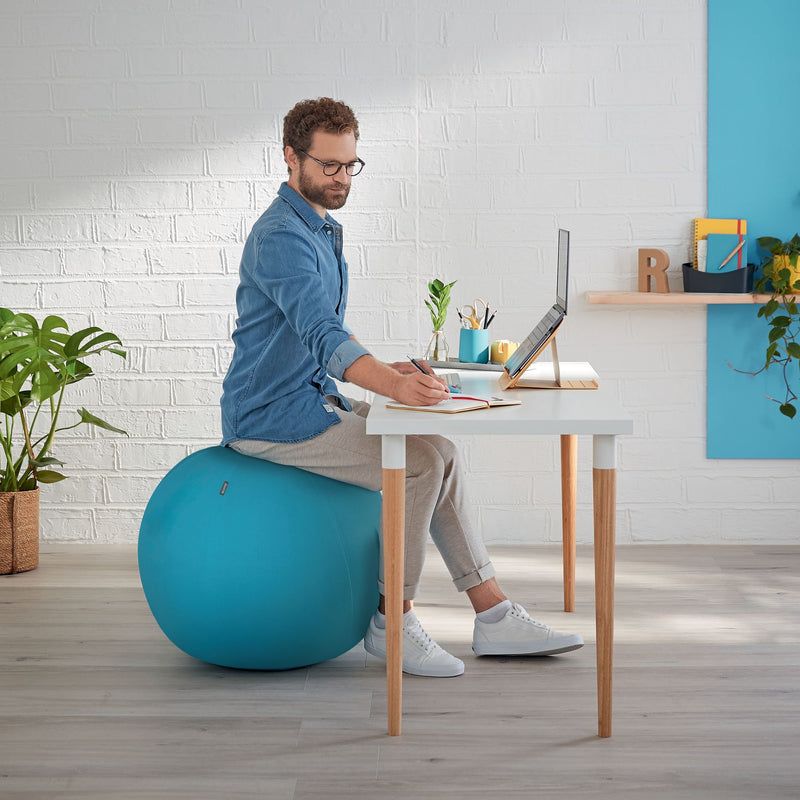 Leitz Active Sitting Ball, Ergonomically Designed, 65cm Diameter, Includes Fabric Ball Cover, Hand Air Pump & 2 x Plugs, Ergo Cosy Range, Calm Blue