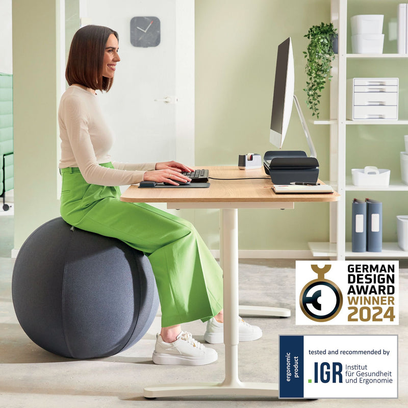 Leitz Ergo Active Sitting Ball, Ergonomically Designed Desk Chair Alternative, 55cm Dia, Inc. Fabric Cover, Hand Pump & 2 Plugs, Velvet Grey, 65410089