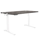Fellowes Levado Electric Height Adjustable Sit Stand Desk / Standing Desk, 1600mm, WHITE FRAME / NEWPORT OAK DESKTOP