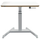 Leitz Ergo Small Electric Sit-Stand Desk / Standing Desk with Stand-Up Reminder