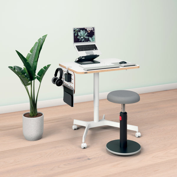 Leitz Ergo Small Pneumatic Sit-Stand Desk / Standing Desk